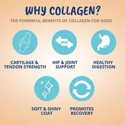 Product Under The Weather Dog Collagen Chews for Dog