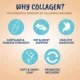 Product Under The Weather Dog Collagen Chews for Dog