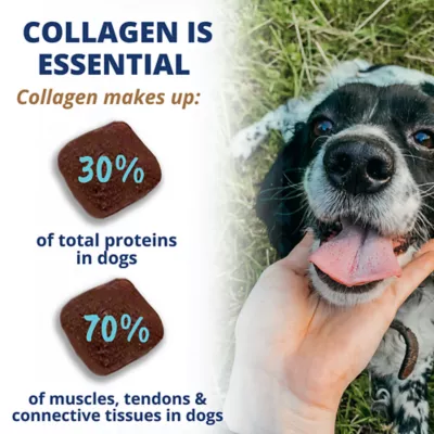 Product Under The Weather Dog Collagen Chews for Dog