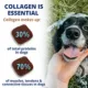 Product Under The Weather Dog Collagen Chews for Dog