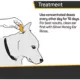 Product Silver Honey Rapid Ear Care for Dog and Cat 4 oz