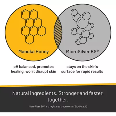 Product Silver Honey Rapid Ear Care for Dog and Cat 4 oz