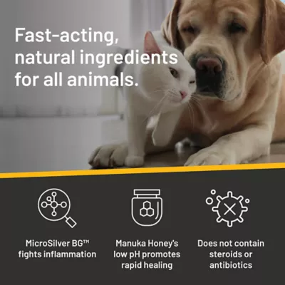 Product Silver Honey Rapid Ear Care for Dog and Cat 4 oz