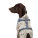 Product Top Paw Aztec Adjustable Fashion Comfort Dog Harness