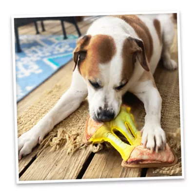 Product Doggijuana® Tuffer Chewer Refillable Grilled Cheese Dog Toy