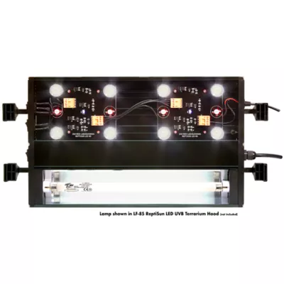 Product Zoo Med T5 High Output 10 UVB Lamp