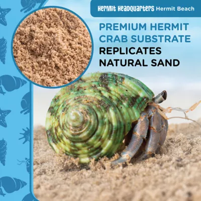 Product Fluker's Hermit Crab Beach Sand