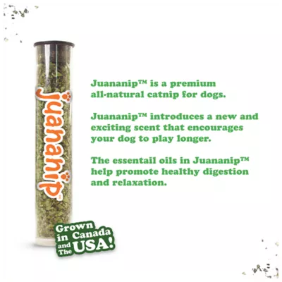 Product Doggijuana® Tuffer Chewer Refillable Eggs and Bacon Dog Toy