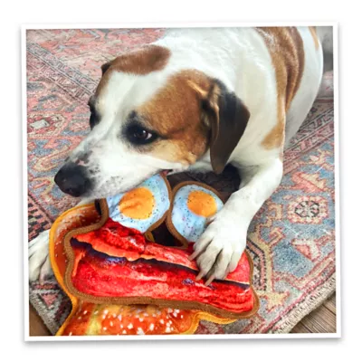 Product Doggijuana® Tuffer Chewer Refillable Eggs and Bacon Dog Toy