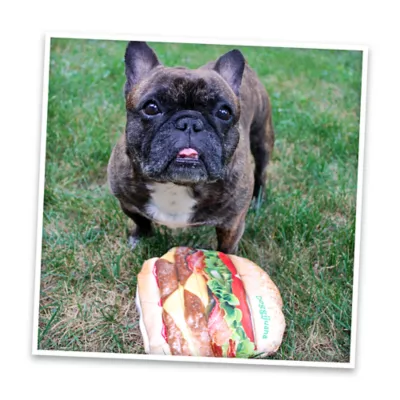 Product Doggijuana® Get The Munchies Refillable Cheeseburger Dog Toy