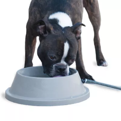 Product K&H Pet Products Thermal-Bowl Outdoor Heated Cat & Dog Water Bowl