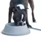 Product K&H Pet Products Thermal-Bowl Outdoor Heated Cat & Dog Water Bowl