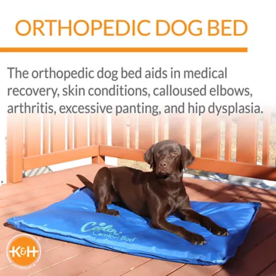 Product K&H Coolin' Comfort Bed