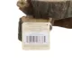 Product Thrive Small Stump