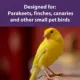 Product Mazuri Mini Bird Diet
