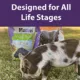 Product Mazuri Oat & Honey Mini Pig Treats