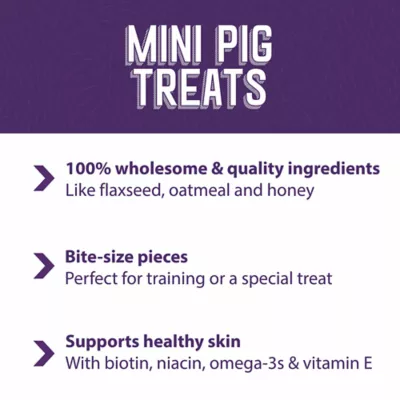 Product Mazuri Oat & Honey Mini Pig Treats