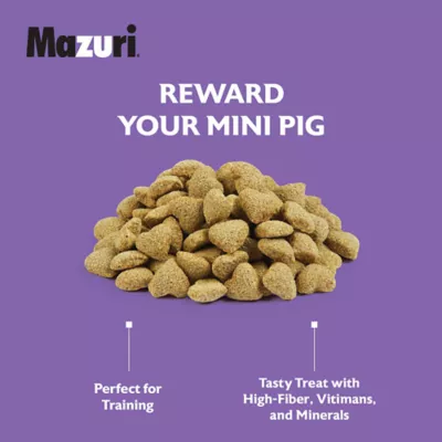 Product Mazuri Oat & Honey Mini Pig Treats