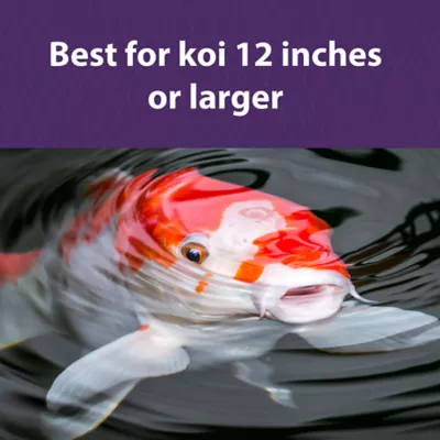 Product Mazuri Koi Platinum Ogata