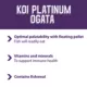 Product Mazuri Koi Platinum Ogata
