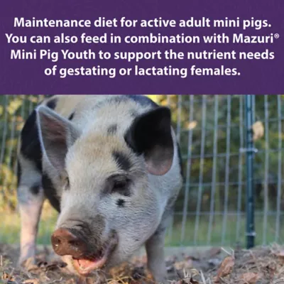 Product Mazuri Mini Pig Active Adult Food