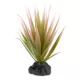 Product Thrive Succulent Plant