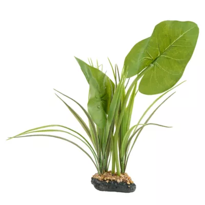 Product  Thrive Canopy Plant