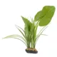 Product  Thrive Canopy Plant
