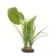 Product  Thrive Canopy Plant