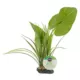 Product  Thrive Canopy Plant