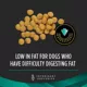 Product Purina Pro Plan Veterinary Diets EN Gastroenteric Low Fat All Life Stages Dry Dog Food - 16.5 lb
