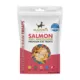 Product McLovin's Pet Premium Cat Treats - Freeze-Dried Raw, Salmon