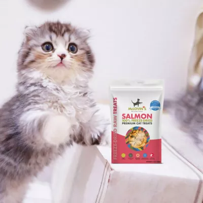 Product McLovin's Pet Premium Cat Treats - Freeze-Dried Raw, Salmon