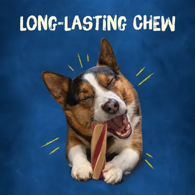 Product Purina Busy Bone Beggin' Twist Long Lasting Chew 2 CT 7 OZ