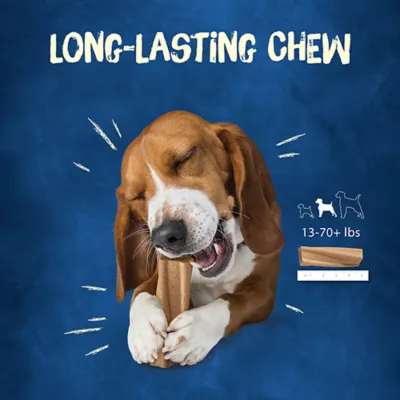 Product Purina Busy Bone Peanut Butter Long Lasting Chew 2 CT 7 OZ