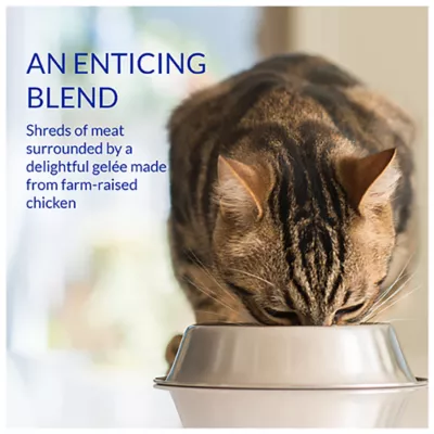 Product Inaba Churu Stew Adult Lickable Cat Treat - Chicken