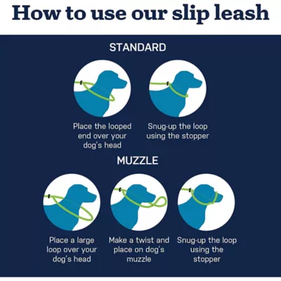 Product Mad Dog Products English Slip Leash 10 FT X 1/2 IN