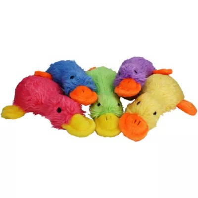 Product Multipet Duckworth Webster Squeaky Plush Dog Toy Color Varies
