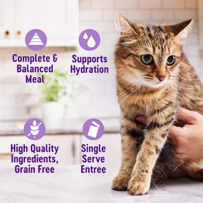 Product Wellness® Appetizing Entrees Adult Cat Wet Food - Shredded & Mousse, Variety Pack, 8 Ct, 11.2 oz
