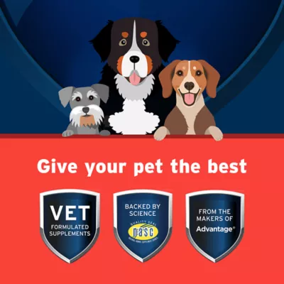 Product Pet Protect from the Makers of Advantage Vet-Formulated Hip & Joint Supplement for Dogs - 120 Chews