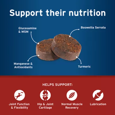 Product Pet Protect Hip & Joint + Dog Supplements 60 Count