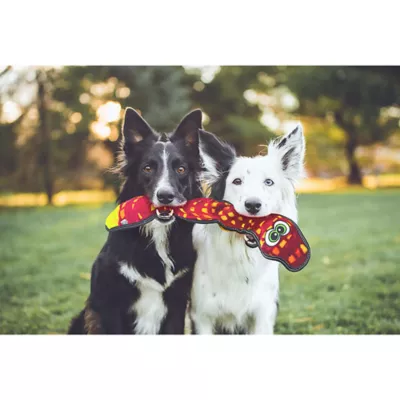 Product Outward Hound Xtreme Seamz Snake Squeaky Plush Dog Toy