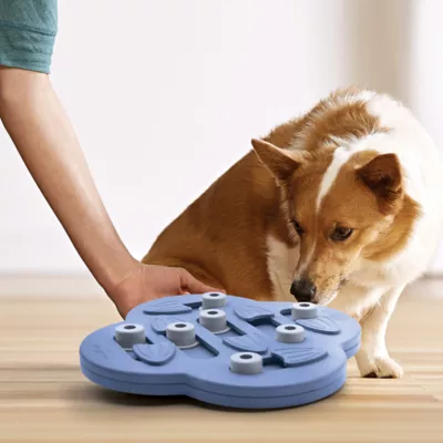 Product Outward Hound Nina Ottosson Puppy Hide N' Slide Interactive Treat Puzzle Dog Toy