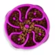 Product Outward Hound Fun Slow Feeder Dog Bowl
