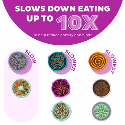 Product Outward Hound Fun Slow Feeder Dog Bowl