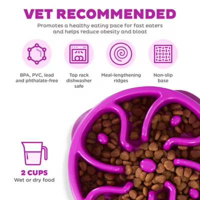 Product Outward Hound Fun Slow Feeder Dog Bowl