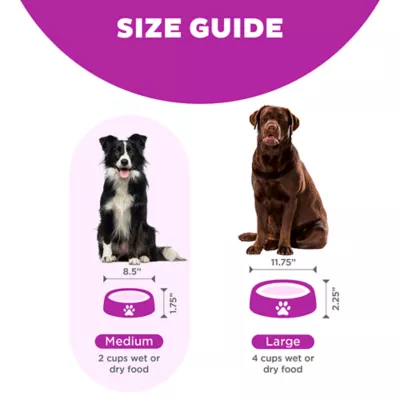 Product Outward Hound Fun Slow Feeder Dog Bowl