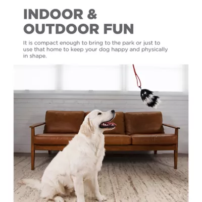 Product Outward Hound Tail Teaser with Refill Dog & Cat Teaser Toy