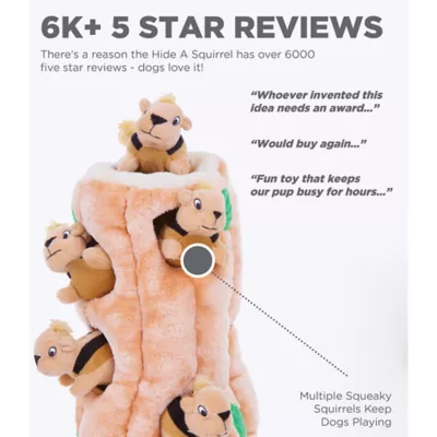 Product Outward Hound Hide A Squirrel Plush Dog Toy Puzzle