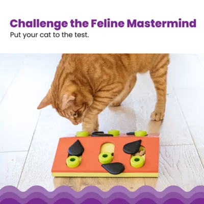 Product Melon Madness Puzzle & Play Cat Toy